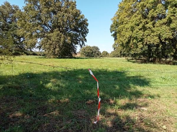 Terrain à AHUILLE, 53940 - 2875m²