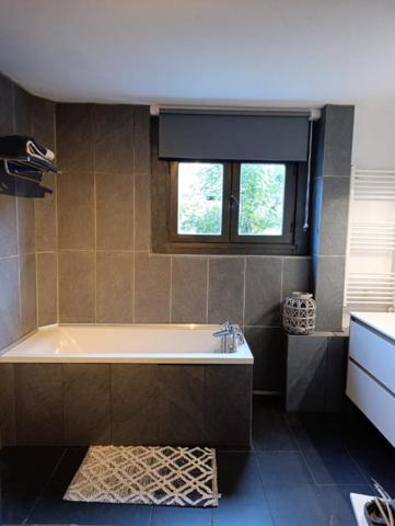 Haute savoie-Maison individuelle 7 pièces 245 m2