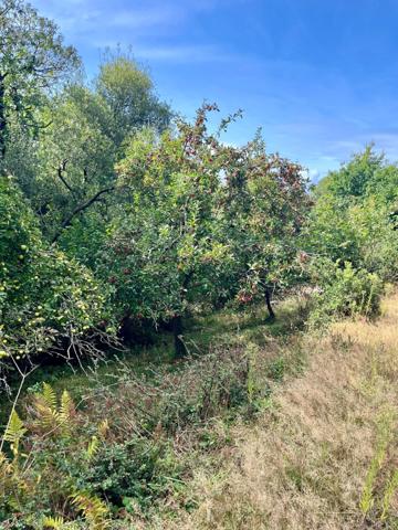 Maison à vendre 2 pièces SAINT NIC (29)