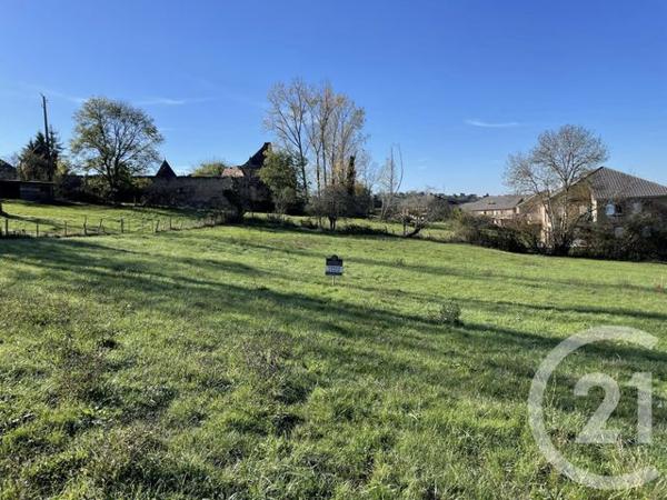 terrain à vendre 1500 m2 MALEMORT - 19