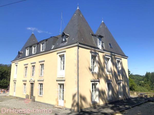 Château à vendre 12 pièces de 750 m²