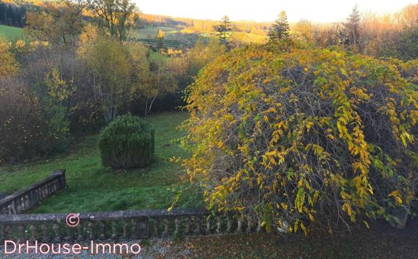 Château à vendre 12 pièces de 750 m²