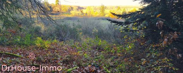Château à vendre 12 pièces de 750 m²