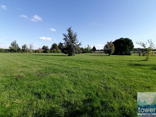 A 10 minutes de Montech - 2 maisons attenantes et hangar sur un terrain de 2,4 ha