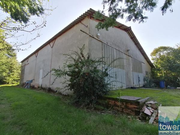 A 10 minutes de Montech - 2 maisons attenantes et hangar sur un terrain de 2,4 ha