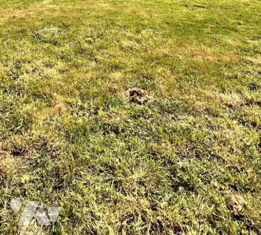 Vente Terrain à bâtir