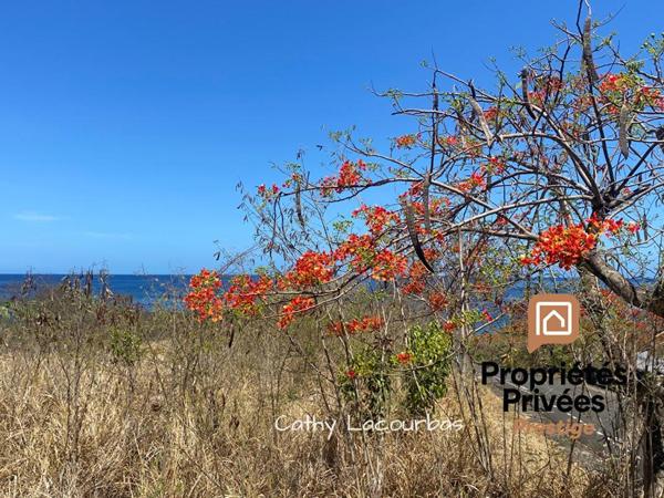 EXCLUSIVITÉ : TERRAIN TOURISTIQUE AVEC VUE MER EXCEPTIONNELLE, BOUILLANTE-Guadeloupe