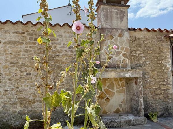 Maison au coeur du village de LOIX à 5 min de l'océan - 5 pièces de 121 m2