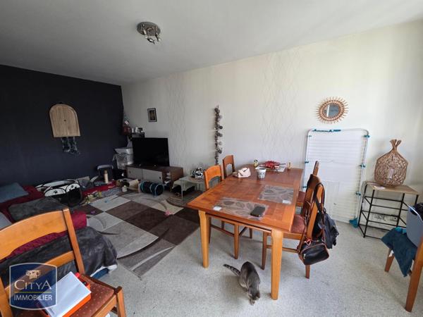 Appartement à louer 2 pièces 46.9m²