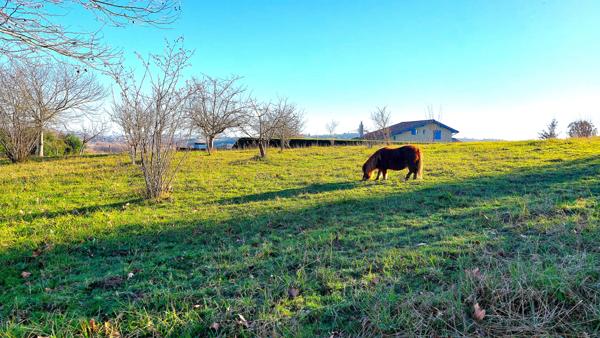 Guiche (64520) Guiche - Terrain plat sur les hauteurs