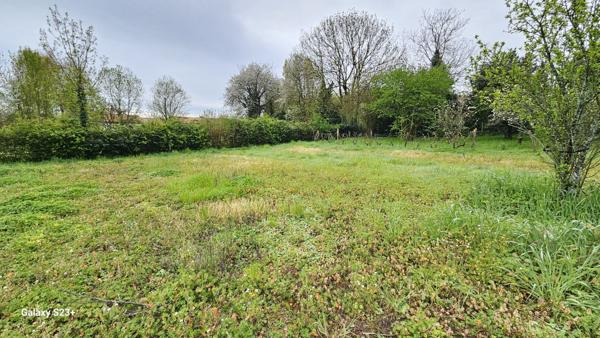 Constructible - 2087 m²