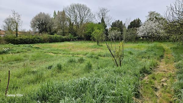 Constructible - 2087 m²