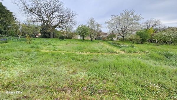 Constructible - 2087 m²