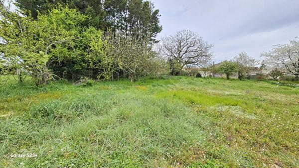 Constructible - 2087 m²