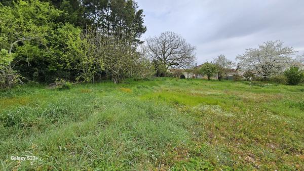 Constructible - 2087 m²