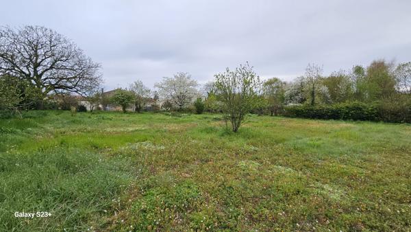 Constructible - 2087 m²