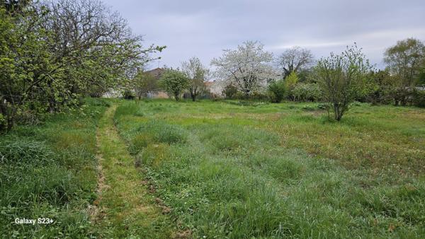 Constructible - 2087 m²