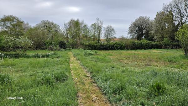Constructible - 2087 m²