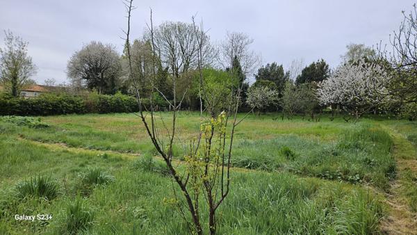 Constructible - 2087 m²