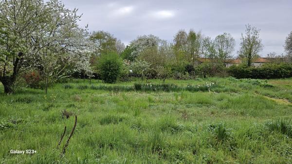Constructible - 2087 m²