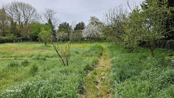 Constructible - 2087 m²