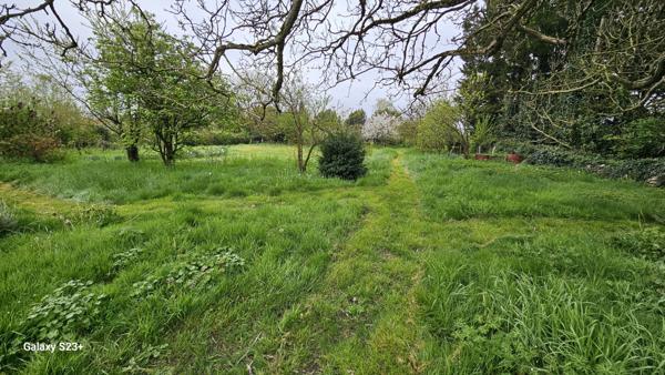 Constructible - 2087 m²
