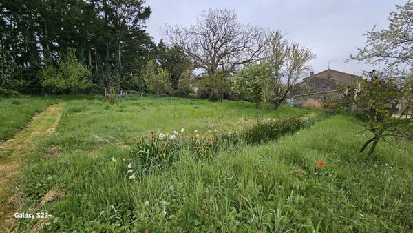 Constructible - 2087 m²