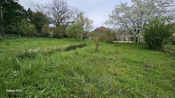 Constructible - 2087 m²
