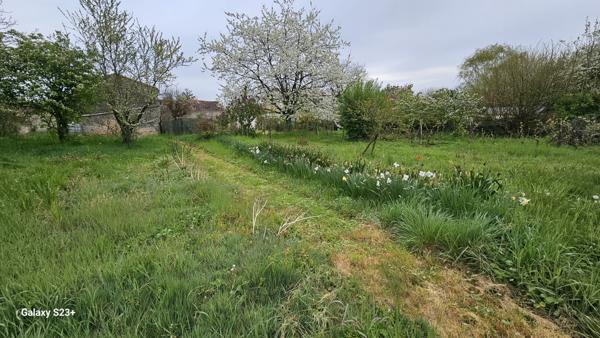 Constructible - 2087 m²
