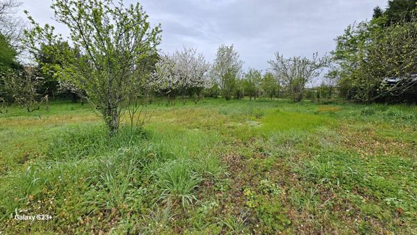 Constructible - 2087 m²