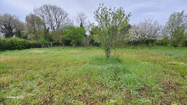 Constructible - 2087 m²