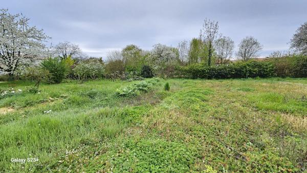 Constructible - 2087 m²
