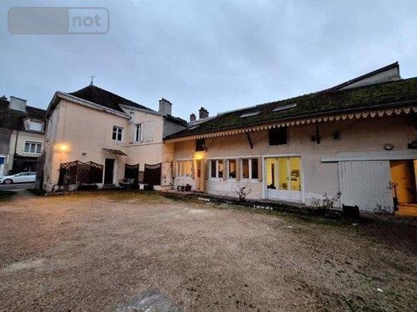 Entrepôt et bureaux à vendre à Arcis-sur-Aube dans l'Aube (10700), ref : 10378/1324