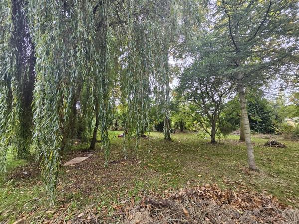 Plouha (22580) Maison T6 avec vie de plain-pied – Calme et nature – 5154m2 de terrain- proche mer et commerces-PLOUHA