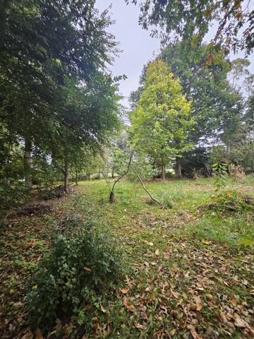 Plouha (22580) Maison T6 avec vie de plain-pied – Calme et nature – 5154m2 de terrain- proche mer et commerces-PLOUHA