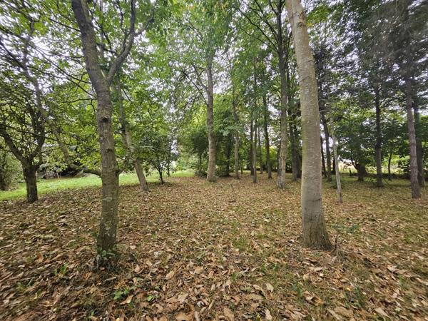 Plouha (22580) Maison T6 avec vie de plain-pied – Calme et nature – 5154m2 de terrain- proche mer et commerces-PLOUHA