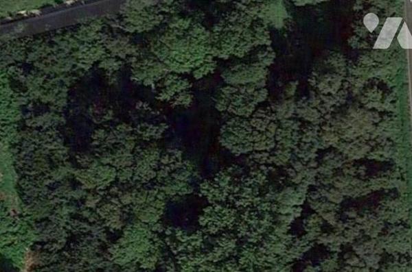 A Aubigny-en-Artois, vente de parcelles de taillis