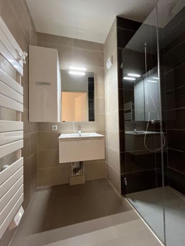 A LOUER T4 DE 95.75 M² AVEC TERRASSE - 19 RUE ANDRE LASSAGNE CALUIRE-ET-CUIRE, Caluire et cuire 69300