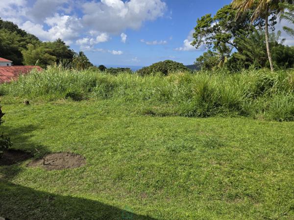 MAISON TRADITIONNELLE ANTILLAISE de 3 ch surface 91m² au Morne Rouge