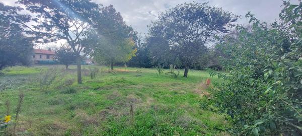 A VENDRE MAISON SUR MAGNIFIQUE TERRAIN ARBORE