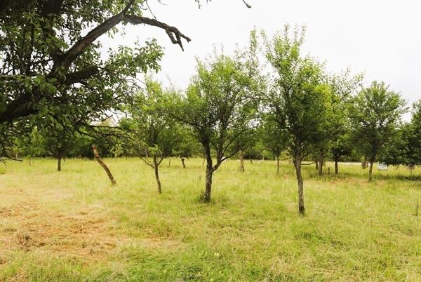 A VENDRE Maison de 140 m2 environ sur Goersdorf