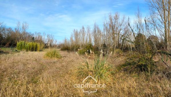 Terrain 5000m² ROQUES (31)