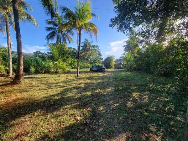 Terrain de 1 702 m² avec maison T4 – Rémire-Montjoly