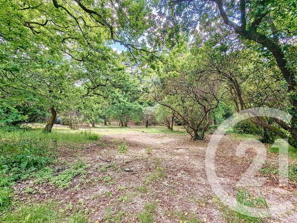 Terrain à vendre  1050 m2 ARCACHON - 33