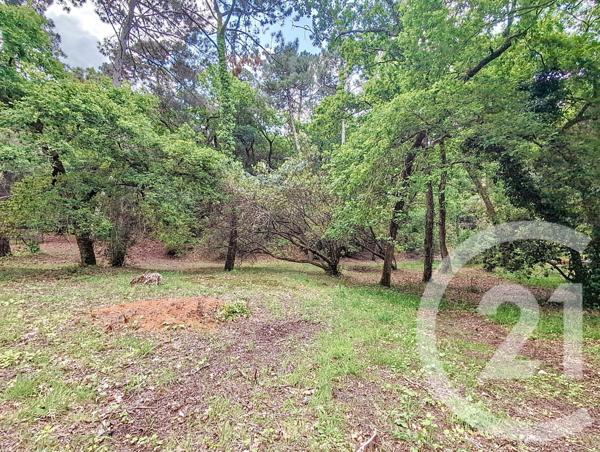 Terrain à vendre  1050 m2 ARCACHON - 33