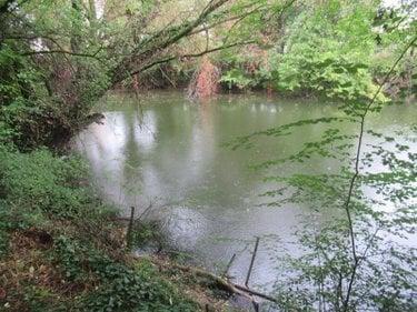 Étang à vendre à Troyes dans l'Aube (10000), ref : 10377/920