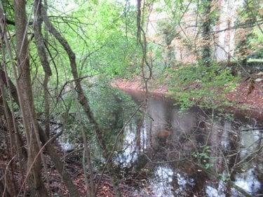 Étang à vendre à Troyes dans l'Aube (10000), ref : 10377/920