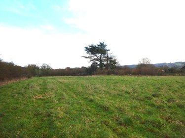 Divers à vendre à Saint-Hilaire-sur-Erre dans l'Orne (61340), ref : STH 945