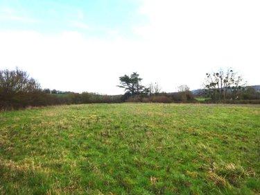 Divers à vendre à Saint-Hilaire-sur-Erre dans l'Orne (61340), ref : STH 945