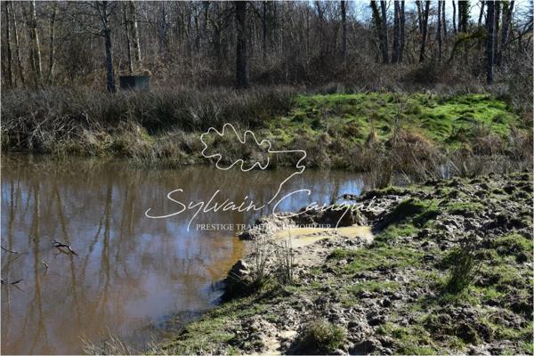 Propriété de Chasse ou d'Agrément de 60 hectares en Sologne